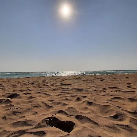 Cozy Traditional Stone House - 8 Min To Sandy Beach - Free Parking Semesterbostad *
